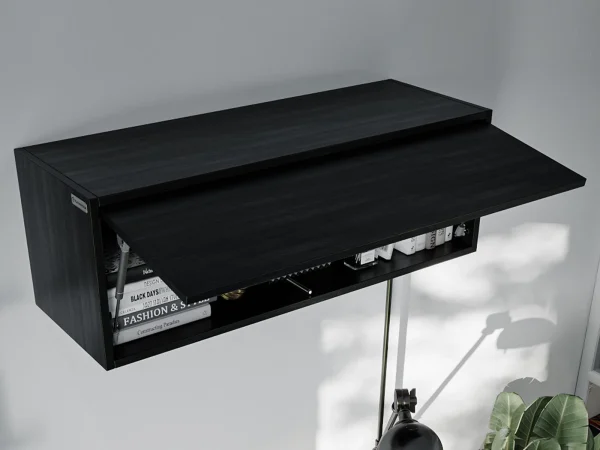 Armoire BARIO 1 Porte Abattante Chêne Noir soldes ligne 1