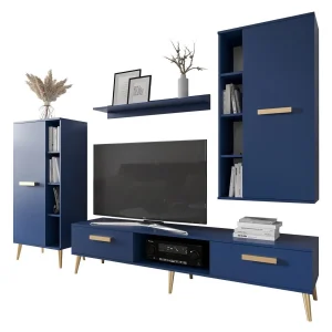 Retour Gratuit Mur Tv-hifi MODESTE 4 Portes Bleu Foncé 10