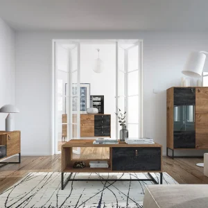 vente luxe pas cher Armoire DARKO 2 Portes Chêne Ribbec/noir Sans Led 16