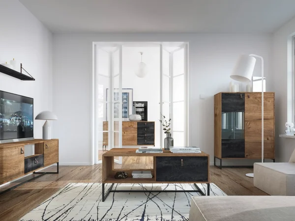 vente luxe pas cher Armoire DARKO 2 Portes Chêne Ribbec/noir Sans Led 6