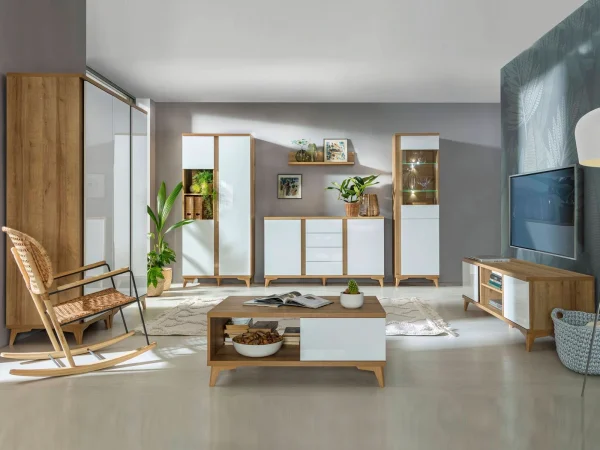 solde en ligne Armoire FIONA 2 Portes Blanc Brillant/chêne Riviera 3