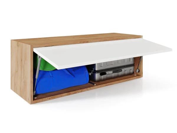 Top ventes Armoire BARIO 1 Porte Abattante Chêne Doré/blanc Mat 10